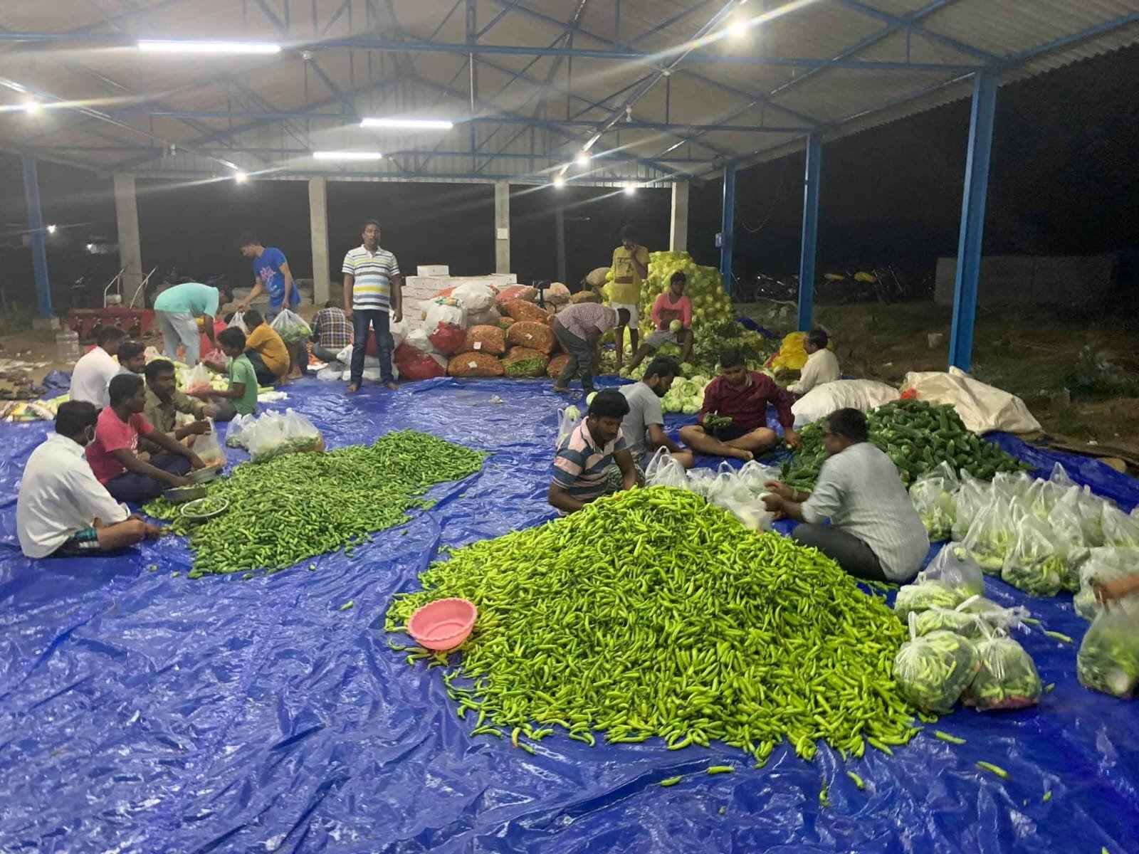 Vegetable Packing 1