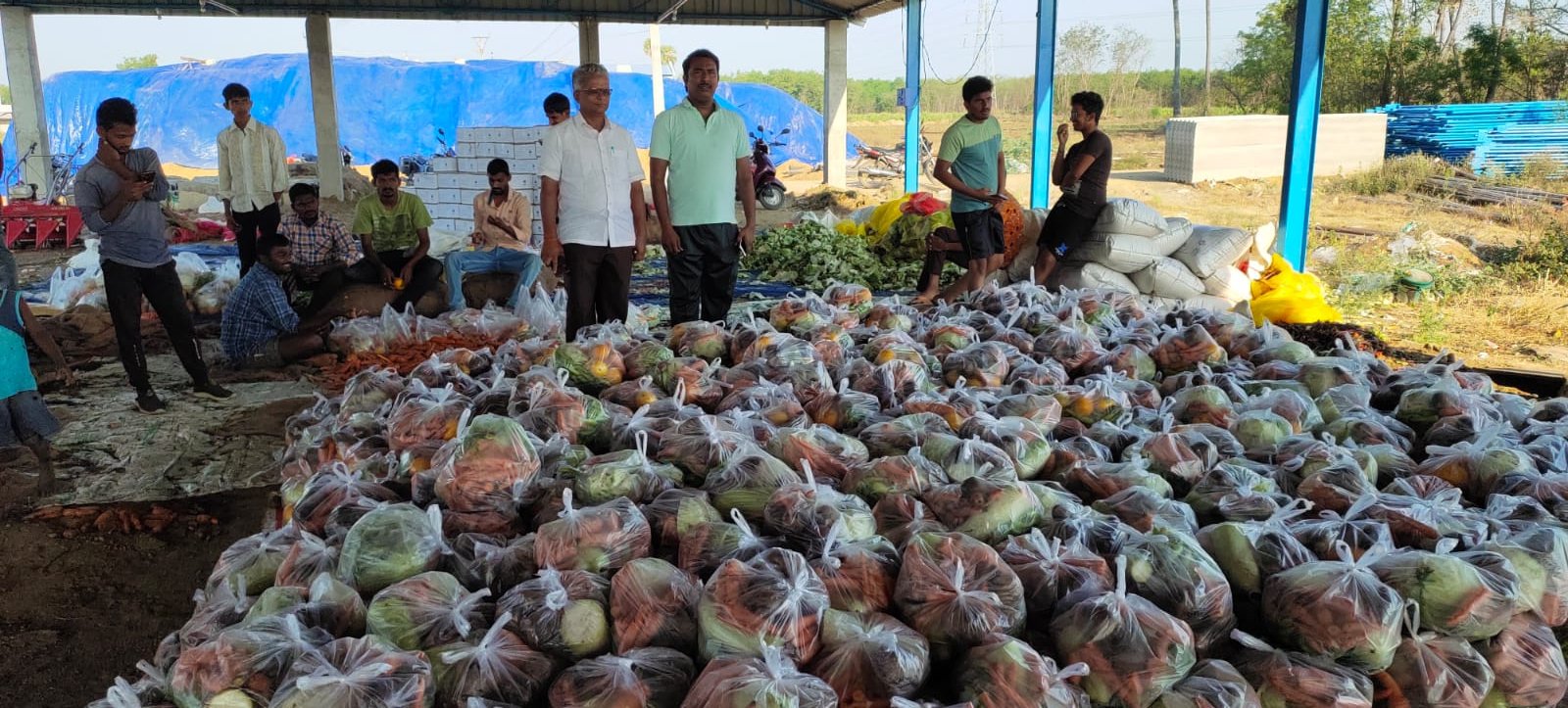 Vegetable Packing 2