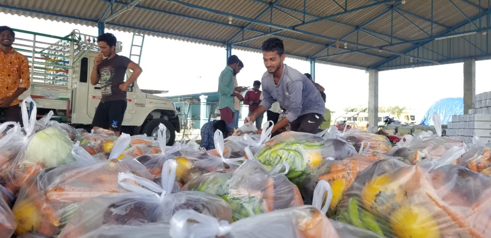 Vegetable Packing 3